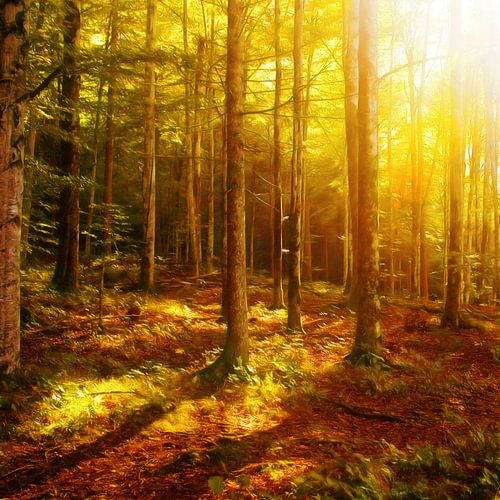 Light mood in the forest