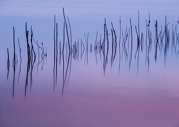 Stille auf dem Wasser von Michel Knikker