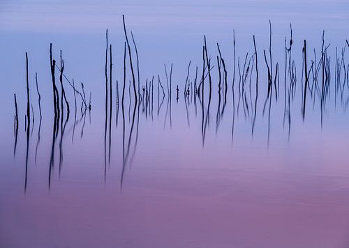 Stilte op het water