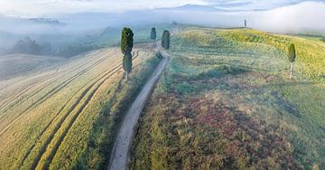 Top view over Val d'Orcia at sunrise. by Bart Ceuppens