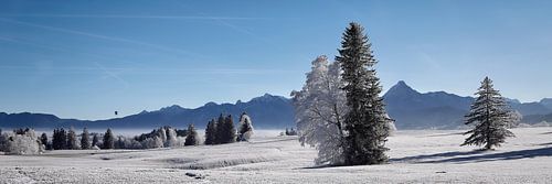 Winterdag in de Allgäu van Judith Kuhn
