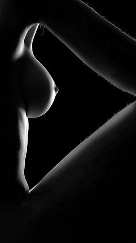 Naakte Silhouet in Licht en Schaduw