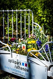 Rathenow "Stad van de Optiek van David Krause