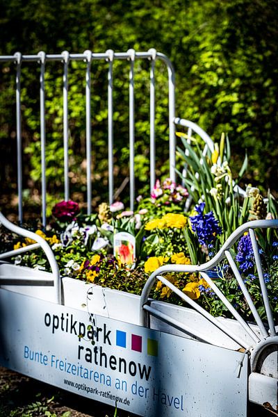 Rathenow „Stadt der Optik“ von David Krause