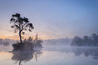 A peaceful afterglow by Peter Nolten thumbnail