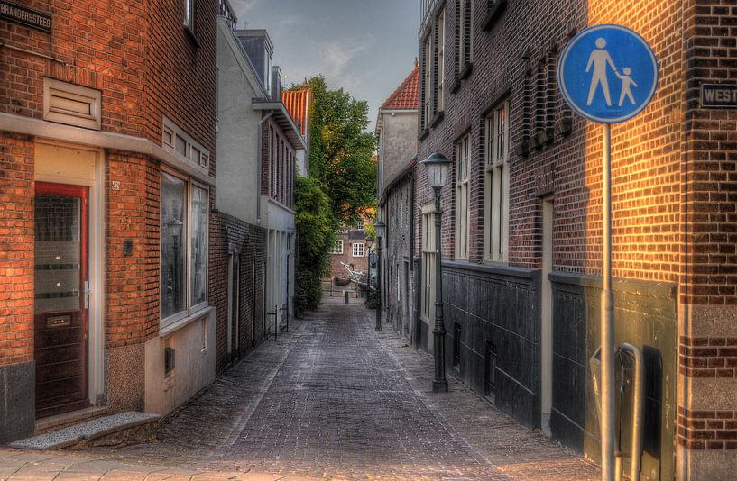 Branderssteeg van Bram Kool