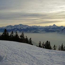 On top van Victor Belou