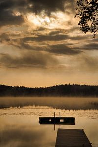 Schwimminsel in einem schwedischen See