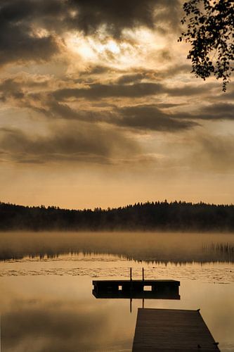 Drijvend eiland in een Zweeds meer