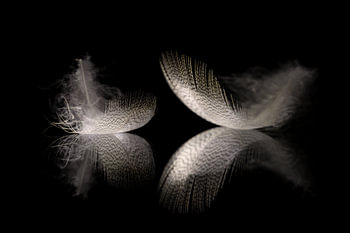 deux ressorts