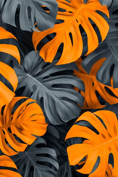 Colourful splendour of leaves by Poster Art Shop