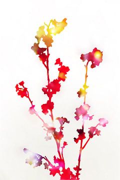 Bloeiwijze Rode Bloemen van amini54