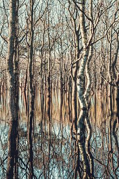 natuurbeeld bomen bij hoogwater van eric van der eijk