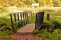 Kleine brug in mooi landschap bij Vorden, Gelderland