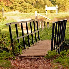 Kleine Brücke in der schönen Landschaft nahe Vorden, Gelderland von Jaimy Buunk