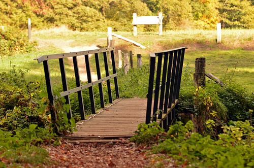 Small bridge in beautiful landscape near Vorden, Gelderland by Jaimy Buunk