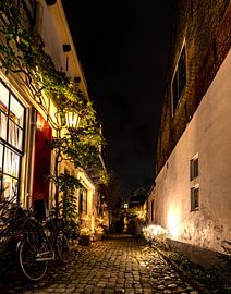 Alley in Naarden-Vesting by Larisa Landré