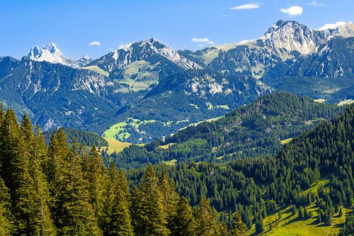 Bergpanorama in de Allgäu, uitzicht vanaf Hochgrat