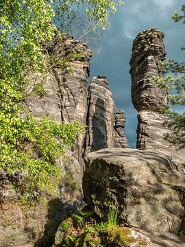 Bielatal, Saxon Switzerland - Große Herkulessäule through the treetops by Pixelwerk