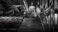 Schwarz-Weiß: Treppe zur St. Paul's Cathedral von Rene Siebring Miniaturansicht