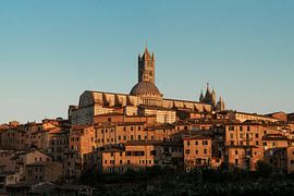 Cathedral of Siena Italy in the evening sun by Visuals by Justin