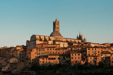 Cathédrale de Sienne Italie au soleil du soir sur Visuals by Justin