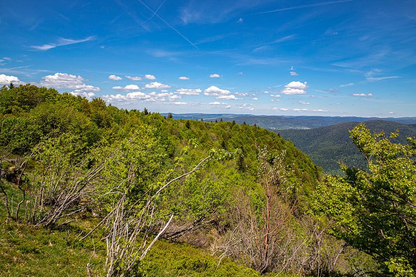 Uitzicht vanaf de Elzas Belchen in het noorden van Alexander Wolff