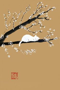 sleeping white cat in the tree