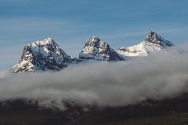 Les trois sœurs se réveillent