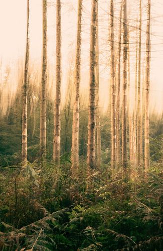 Duno landgoed part 21