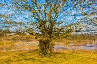 Arbre de Vincent van Gogh