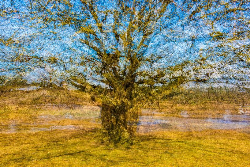 Vincent van Goghs Baum von Marjan van Herpen
