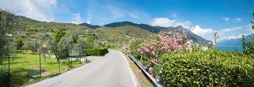 landweg toeristenplaats Bogliaco, boven het Gardameer, Italie