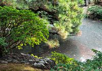 Eau calme dans un jardin japonais
