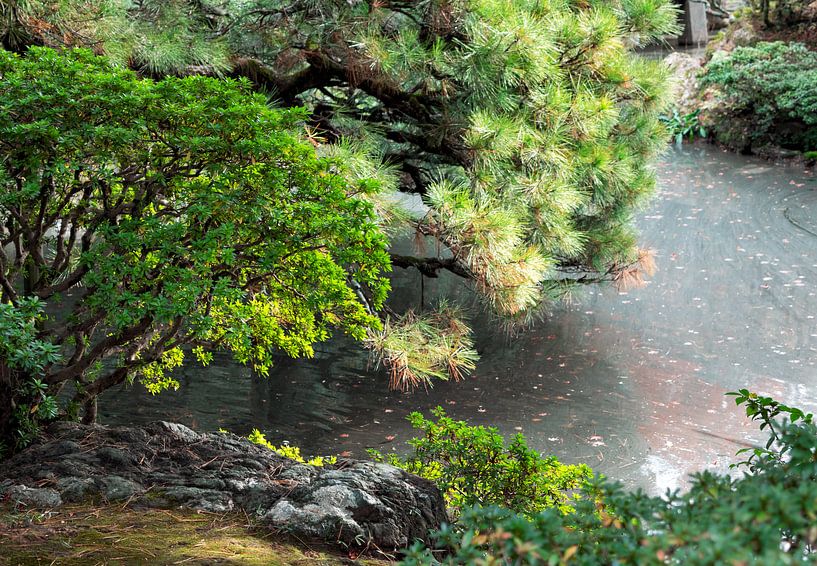 Eau calme dans un jardin japonais par Stella Ammerlaan