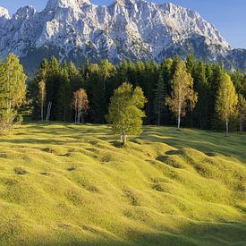 Hummocky meadows between Mittenwald and Krün, Werdenfelser Land, with the Karwendel Mountains behind. by Walter G. Allgöwer