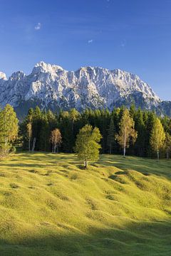 Buckelwiesen zwischen Mittenwald und Krün, Werdenfelser Land, dahinter das Karwendelgebirge