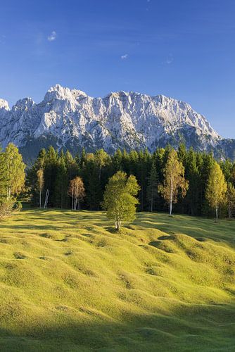 Hummocke weiden tussen Mittenwald en Krün, Werdenfelser Land, met daarachter het Karwendelgebergte.