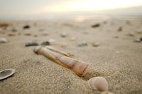 Shells on the Texel beach