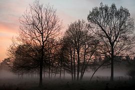 Evening mist in a winter landscape by Hanneke Luit