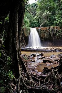 Wilde Flucht am kambodschanischen Wasserfall