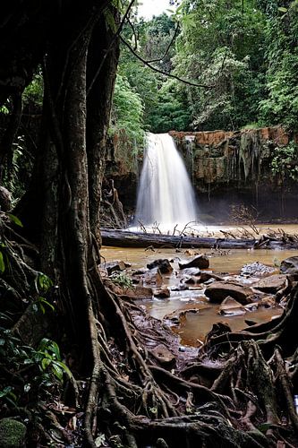 Wilde ontsnapping bij de Cambodjaanse waterval