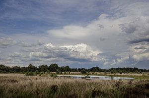 Wolken boven de Kampina van Ronne Vinkx