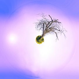 Pink Tiny planet by Paul Marnef