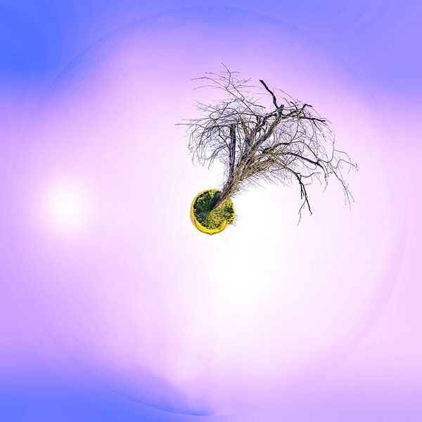 Mini-Planet in Wallonisch-Brabant von Paul Marnef