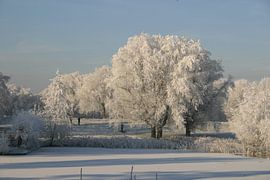 Winterlandschap by EnWout