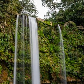 Misol Há waterval, Palenque, Mexico van Speksnijder Photography