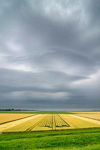 Sommergewitter über Getreidefeldern in Flevoland von Sjoerd van der Wal Fotografie