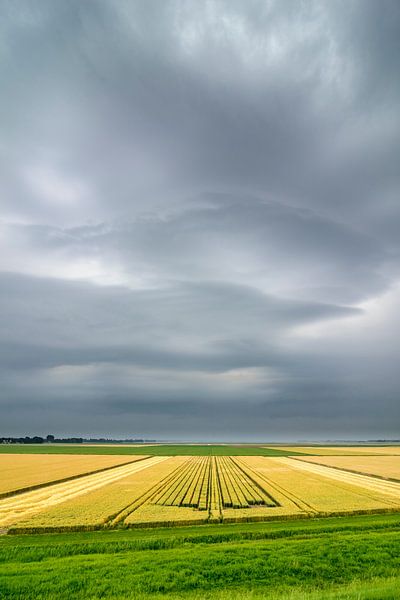 Zomerse onweersbui boven graanvelden in Flevoland van Sjoerd van der Wal Fotografie