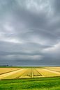 Zomerse onweersbui boven graanvelden in Flevoland van Sjoerd van der Wal Fotografie thumbnail